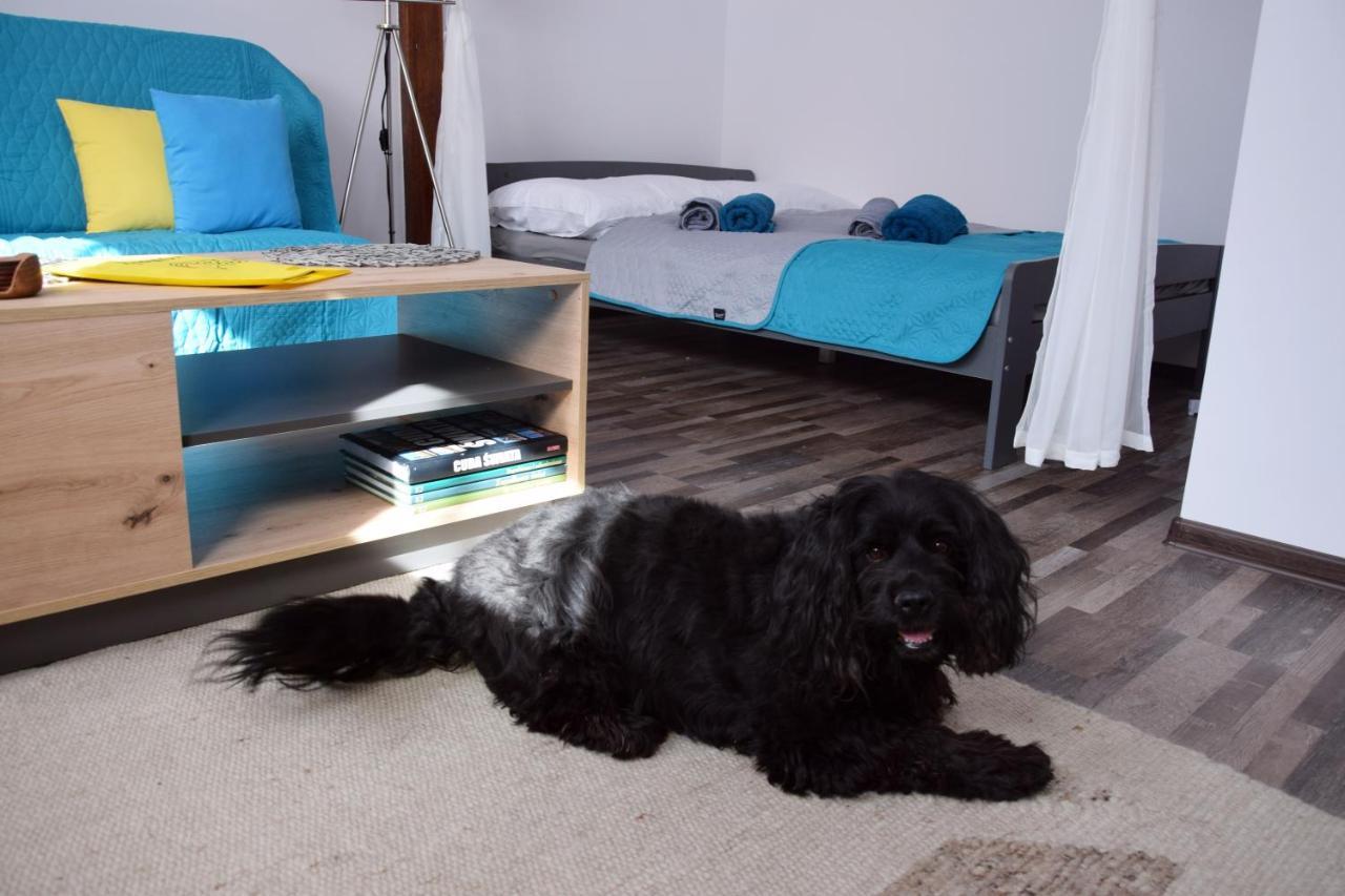 Apartament Gornicza W Kowarach Kowary Εξωτερικό φωτογραφία